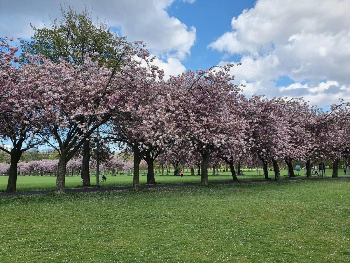 Lovely 2 Bedroom Flat In The Heart Of The City EDI Eksteriør billede